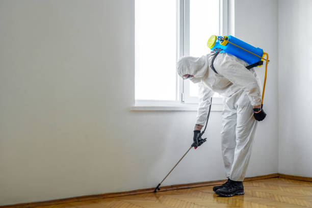 Reliable Capitol View, SC Pest Control Solutions